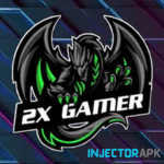 2x-Gamer-Injector